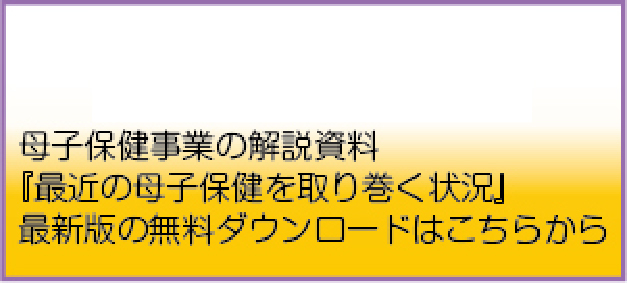 2023年度版『最近の母子保健を取り巻く状況』