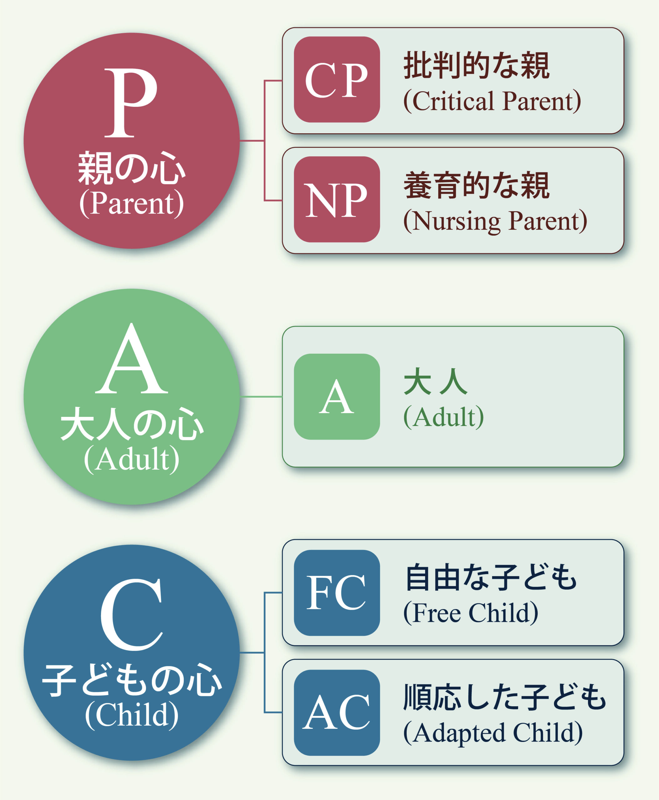 心と体を整える「自律訓練法」、人との関わりを見つめる「交流分析」